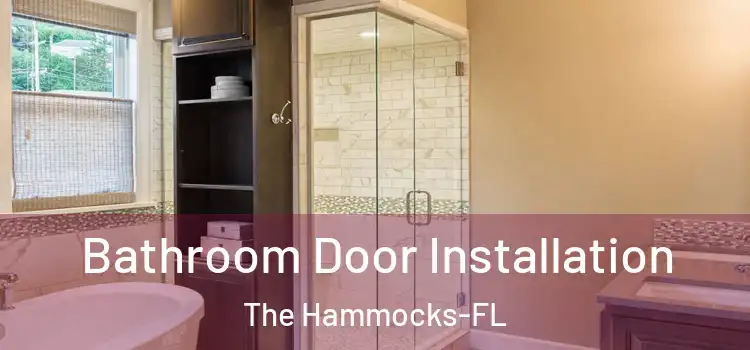  Bathroom Door Installation The Hammocks-FL
