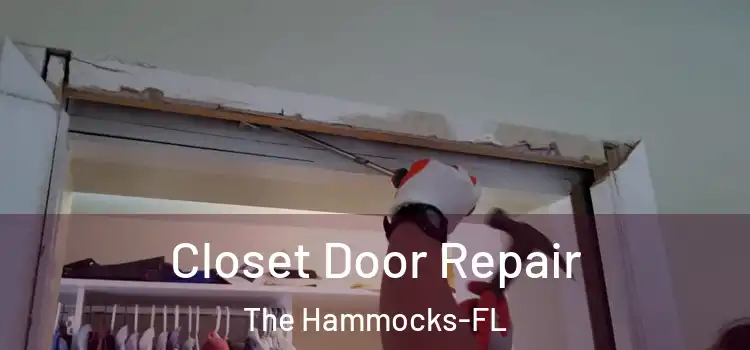 Closet Door Repair The Hammocks-FL