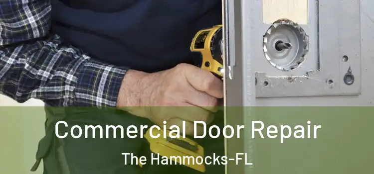 Commercial Door Repair The Hammocks-FL