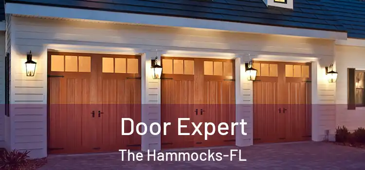  Door Expert The Hammocks-FL