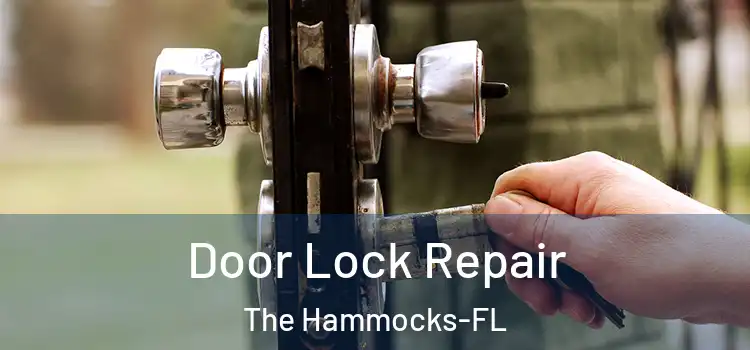  Door Lock Repair The Hammocks-FL