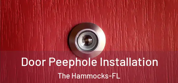  Door Peephole Installation The Hammocks-FL