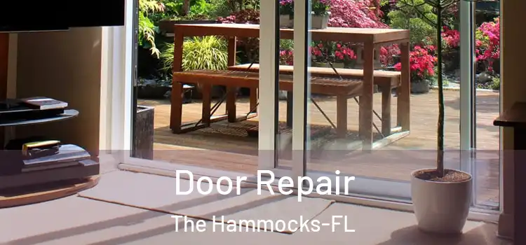  Door Repair The Hammocks-FL
