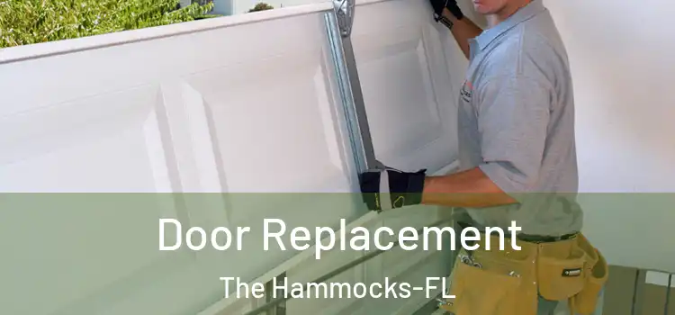 Door Replacement The Hammocks-FL