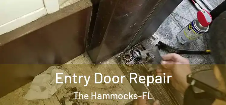 Entry Door Repair The Hammocks-FL