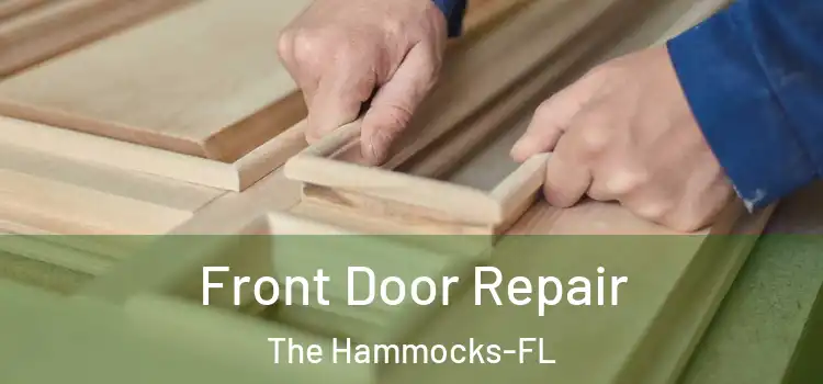  Front Door Repair The Hammocks-FL