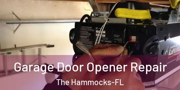 Garage Door Opener Repair The Hammocks-FL