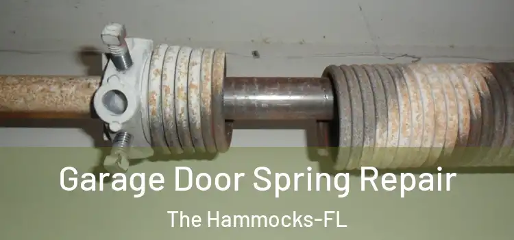  Garage Door Spring Repair The Hammocks-FL