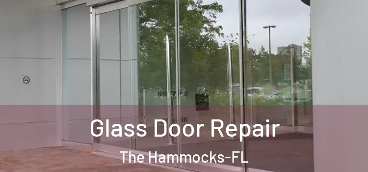 Glass Door Repair The Hammocks-FL