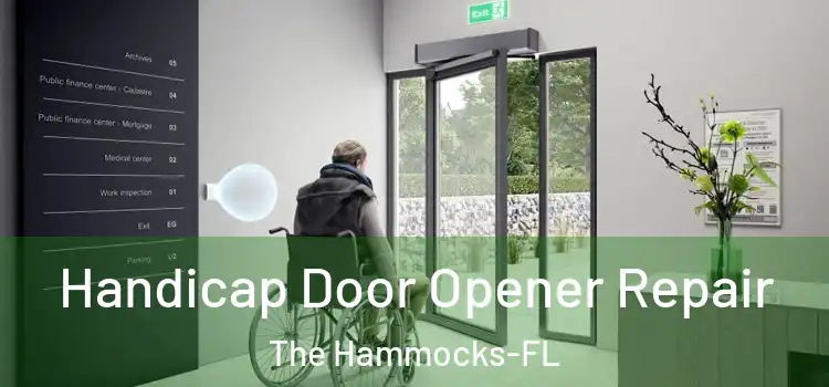 Handicap Door Opener Repair The Hammocks-FL