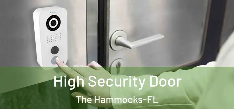 High Security Door The Hammocks-FL