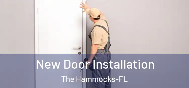New Door Installation The Hammocks-FL