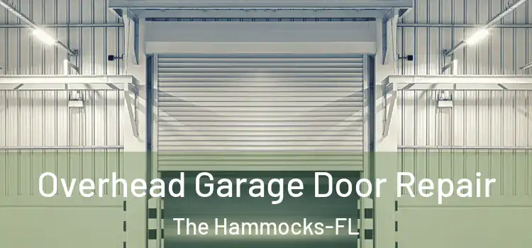 Overhead Garage Door Repair The Hammocks-FL