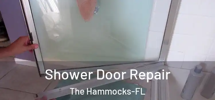 Shower Door Repair The Hammocks-FL