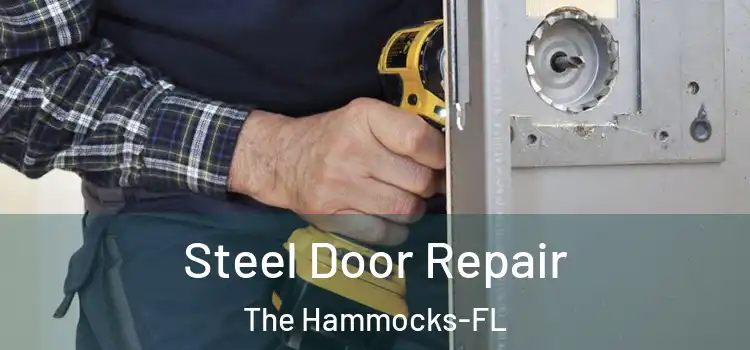  Steel Door Repair The Hammocks-FL