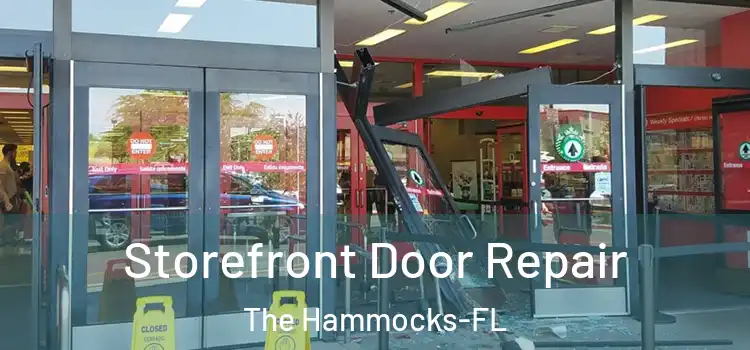 Storefront Door Repair The Hammocks-FL
